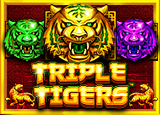 Triple Tigers - pragmaticSLots - Rtp ANGTOTO